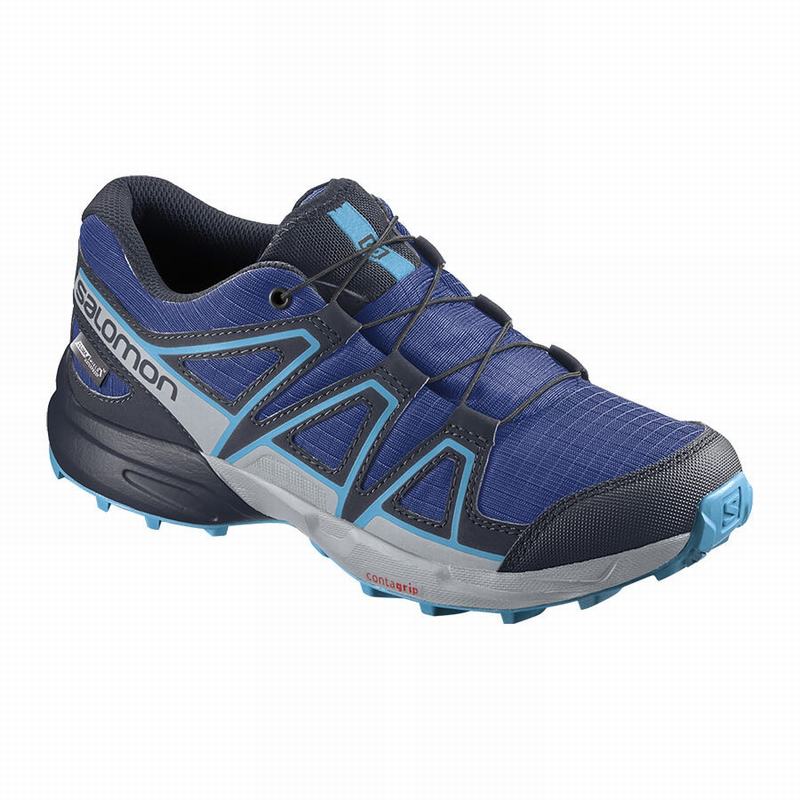 Salomon Singapore Kids Trail Running Shoes - SPEEDCROSS CLIMASALOMON™ WATERPROOF Navy/Blue | 43268-J